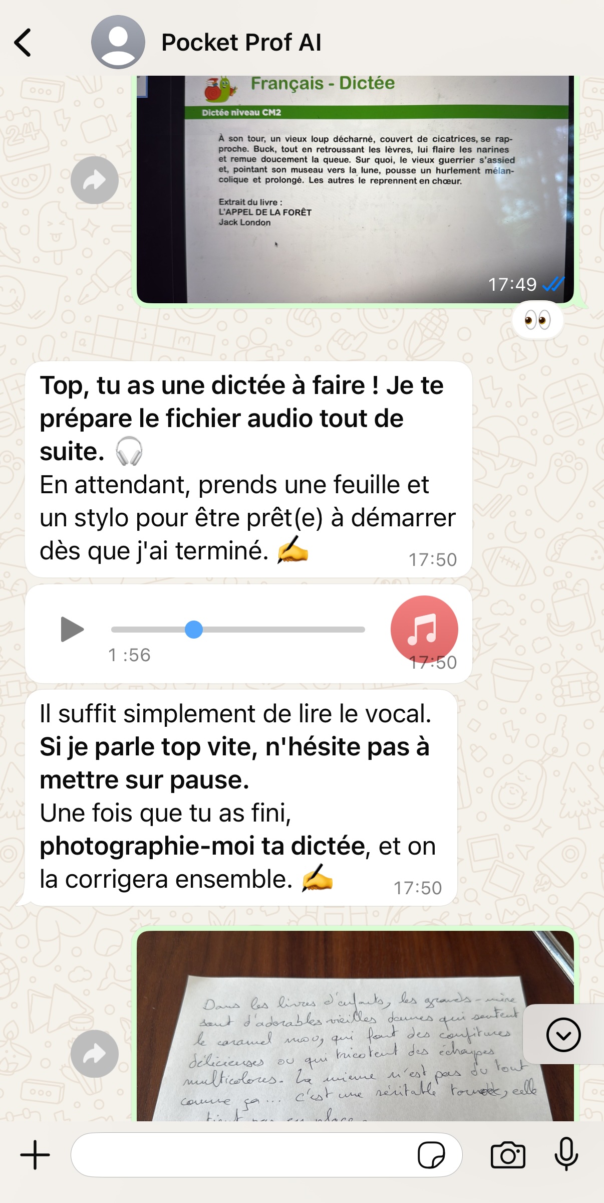 Exemple de conversation avec PocketProf - Français